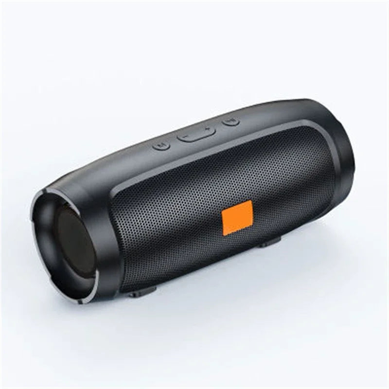 Portable Bluetooth Speaker with FM Radio & USB Playback