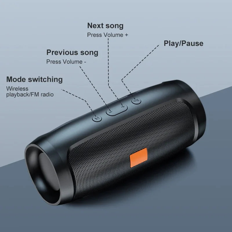 Portable Bluetooth Speaker with FM Radio & USB Playback